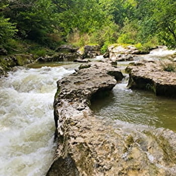 Randonnée du Pied du Grand Colombier - ARTEMARE