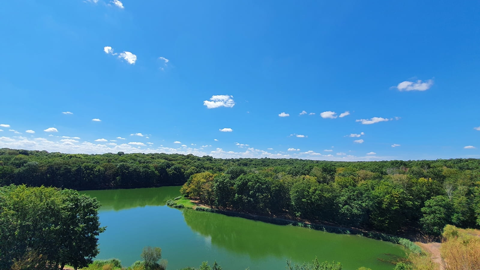 Panorama depuis le terril de charbon de l'étang Grenetier