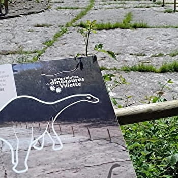 Les chemins des dinosaures de Villette - Balade géologique sur les falaises de Bérranger - HAUTECOURT-ROMANECHE