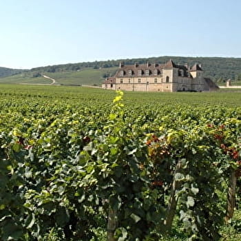 Autour du Clos de Vougeot - VOUGEOT