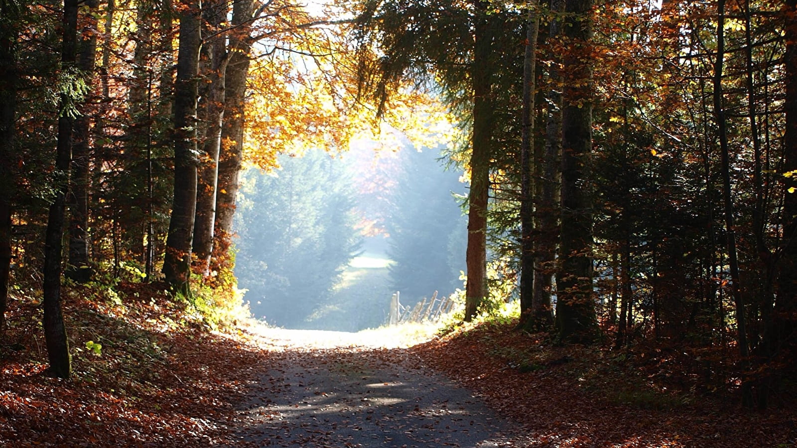 Tour de la Combe David - 68R