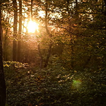 Circuit du Patrimoine - 75B - VILLERS-FARLAY