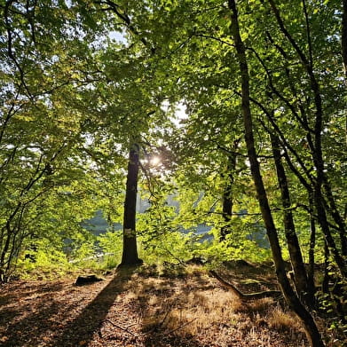 Tour de l'étang du Merle