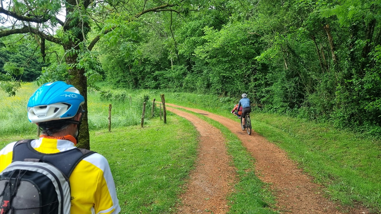 Circuit VTTAE n°21 (bleu) Cheminées Sarrasines & Etangs bressans