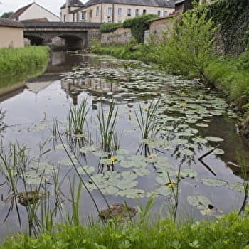 Le Moulin Rouge et le Château du Fort  - MEZILLES