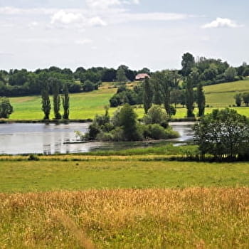 Circuit des bois - SAINT-GERMAIN-DU-BOIS
