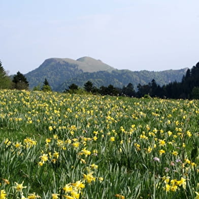 Randonnée pédestre : Boucle de la Croix Famban