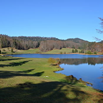 Parcours VTT 26 rouge - circuit des dinosaures - Espace FFC Ain Forestière - PLAGNE