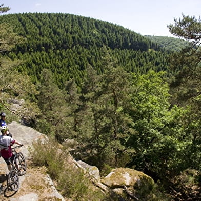 La GTMC, entre Avallon et Autun