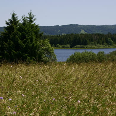Ronde des 2 Villages