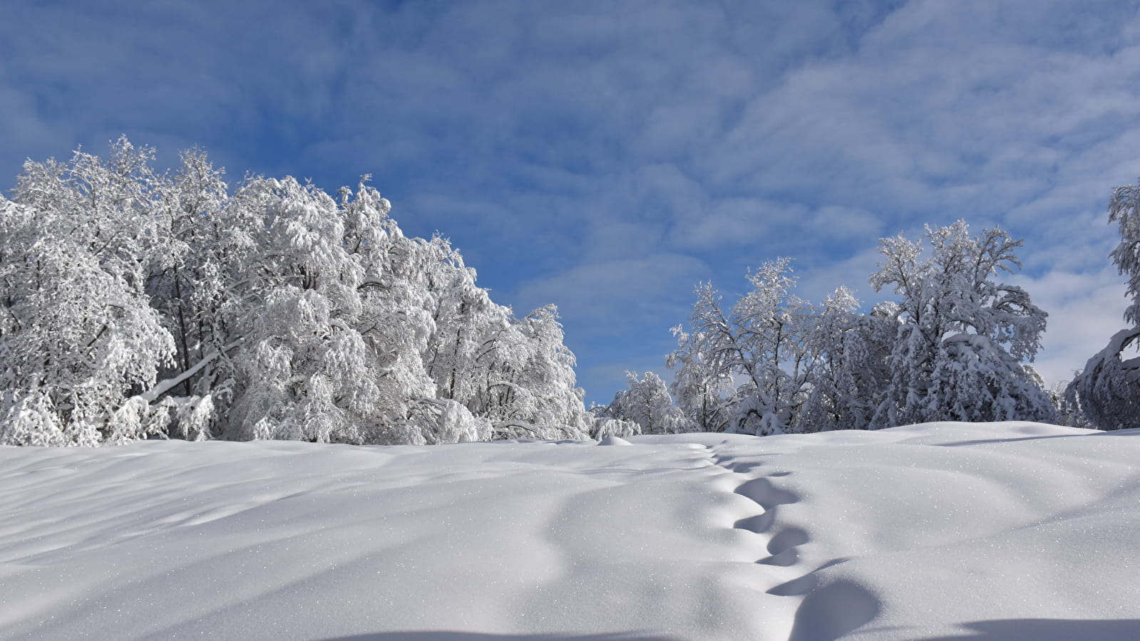 Itinéraire Raquettes du Plateau de Retord R10 au départ de la Chapelle