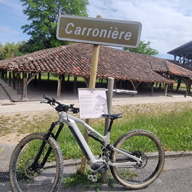 Circuit VTT-VTC n°21 (rouge) Cheminées Sarrasines & Etangs bressans