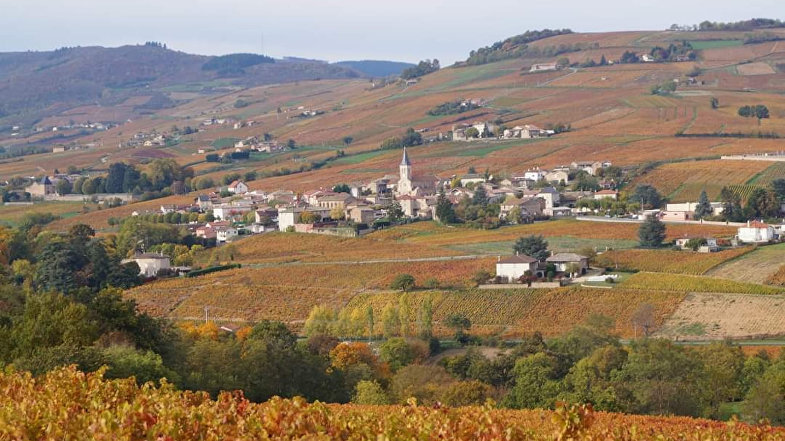 Circuit de la Combe Vineuse