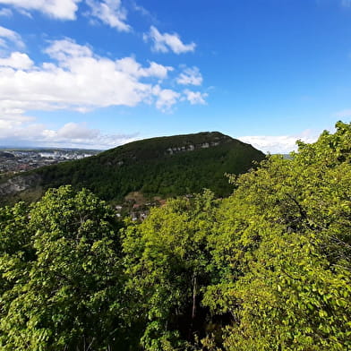 Découverte de Larnod