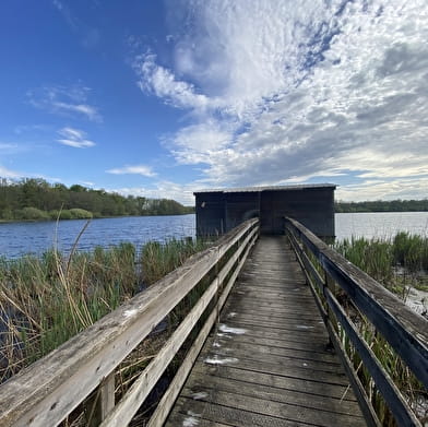 Le Sentier des étangs Vaillant, du Crêt et du Fort