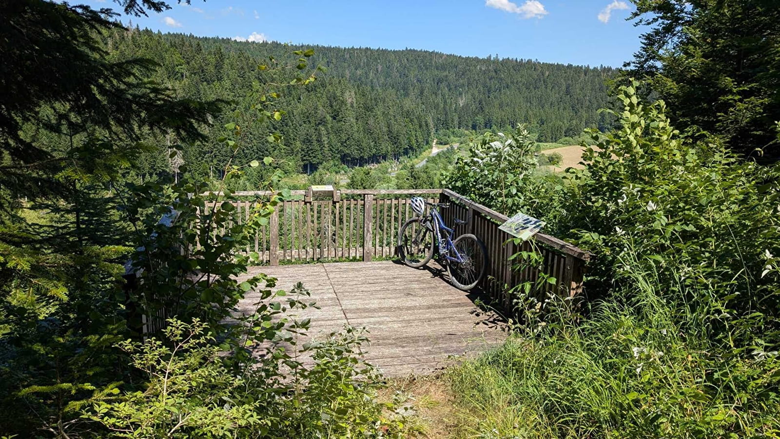 Taremberg - n°78 variante technique