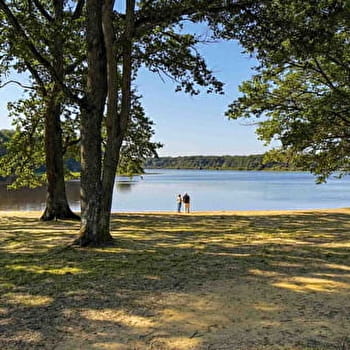 La Coupure du Lac du Bourdon - SAINT-FARGEAU