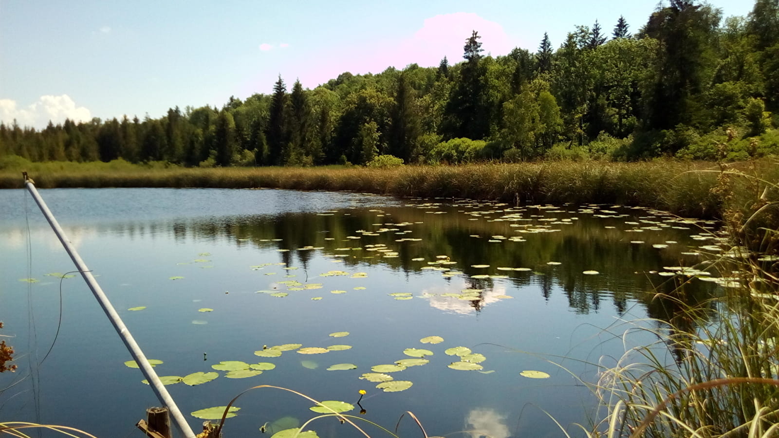Du Lac d'Onoz aux berges du Lac de Vouglans