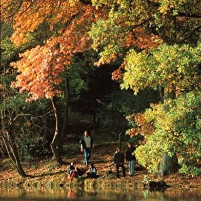 Contrefort du Charollais - DL02