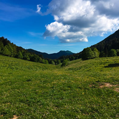 Tour de Pays VTT Bugey - Grand Colombier - Espace FFC Ain Forestière