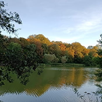 Les étangs des Princes - SAINT-JULIEN-LES-MONTBELIARD