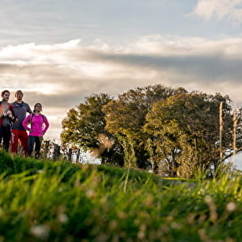 Sur les sentiers du Sud Bourgogne - De Milly-Lamartine à Mâcon Loché - MILLY-LAMARTINE