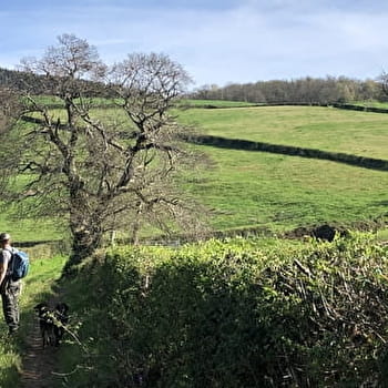 Vers les pâtures du sud Morvan  - SAINT-LEGER-SOUS-BEUVRAY