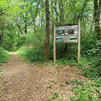 Balade - Réserve Naturelle de la grotte de Hautecourt - HAUTECOURT-ROMANECHE