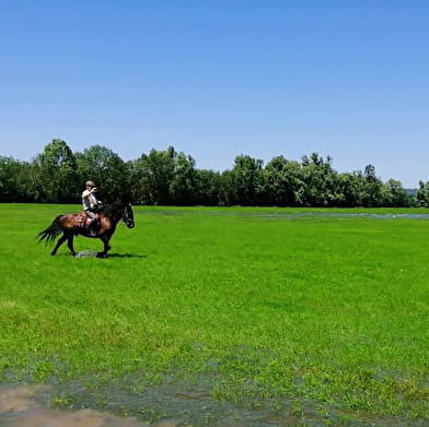 Circuit des prairies du Val de Saône