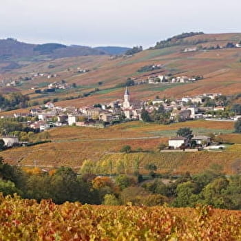 Circuit de la Combe Vineuse - JULIENAS