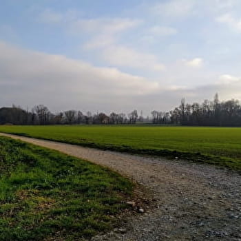 Balade Les Chênes - THOIRY