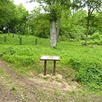 Boucle du bois de la duchesse - BOUROGNE