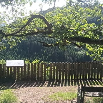 Belvédères de Lizine - LIZINE