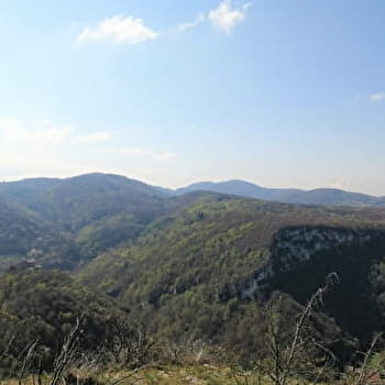 GR® de Pays - Tour de la Vallée de l'Ain au Pays du Cerdon - PONCIN