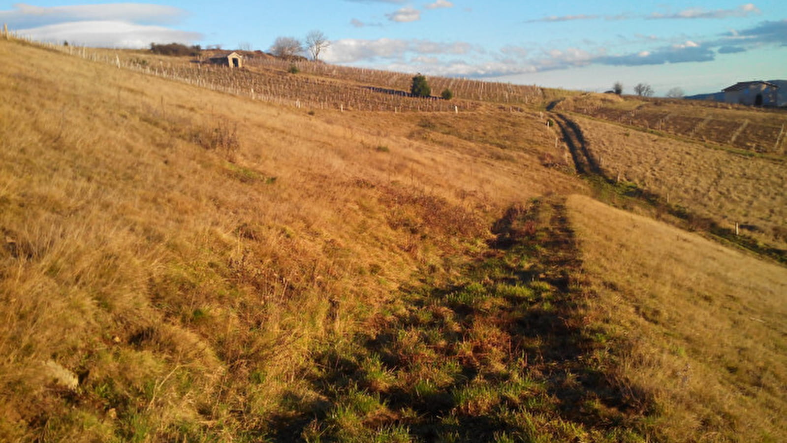 Circuit Les Grandes Terres