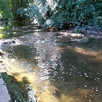 Mini stages 'bien être' créatifs en sculpture- Bligny sur Ouche - BLIGNY-SUR-OUCHE