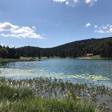 Parcours VTTAE 68 vert - Lac Genin et les bois de Puthod et des Millières - Espace FFC Ain Forestière