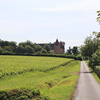 Balmont Haut - CHAINTRE