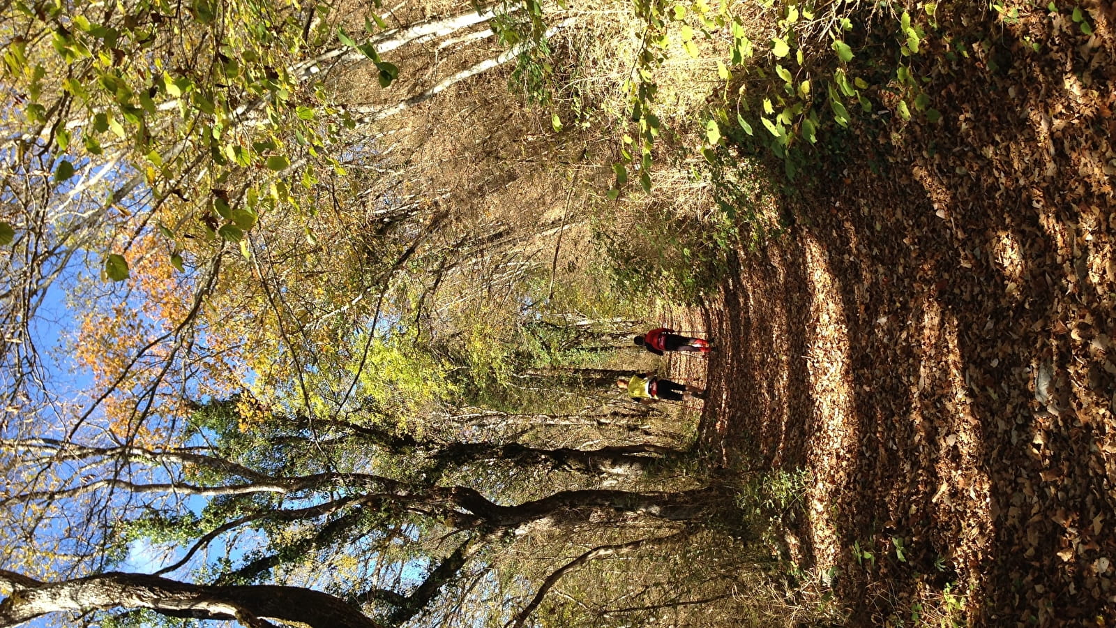 Randonnée pédestre : sentier de Parnaud
