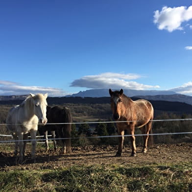 Parcours VTT 6 rouge - Les Enfants du Marais - Espace FFC Ain Forestière