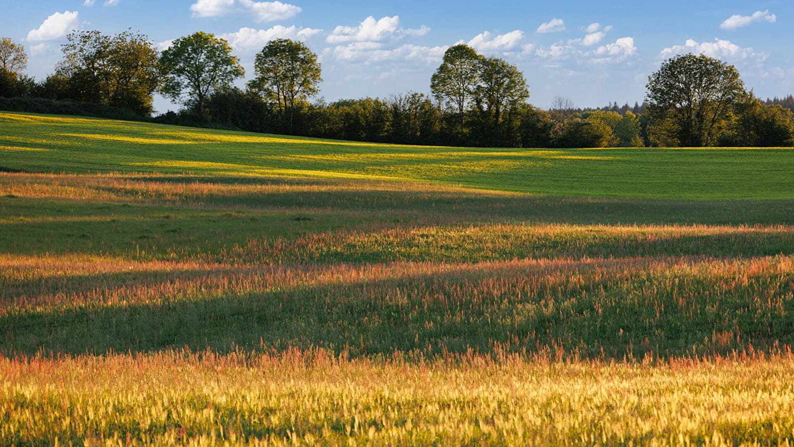 Les Vestiges du Passé - 2B