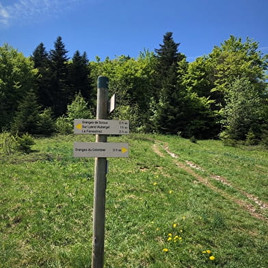 Randonnée des Crêtes de Sur Lyand