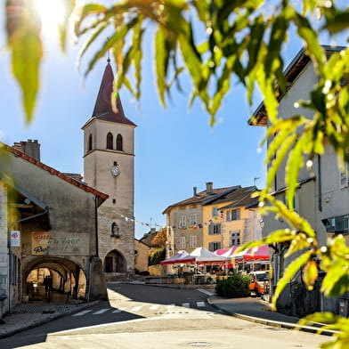 GR 9 de Saint-Amour à Mijoux