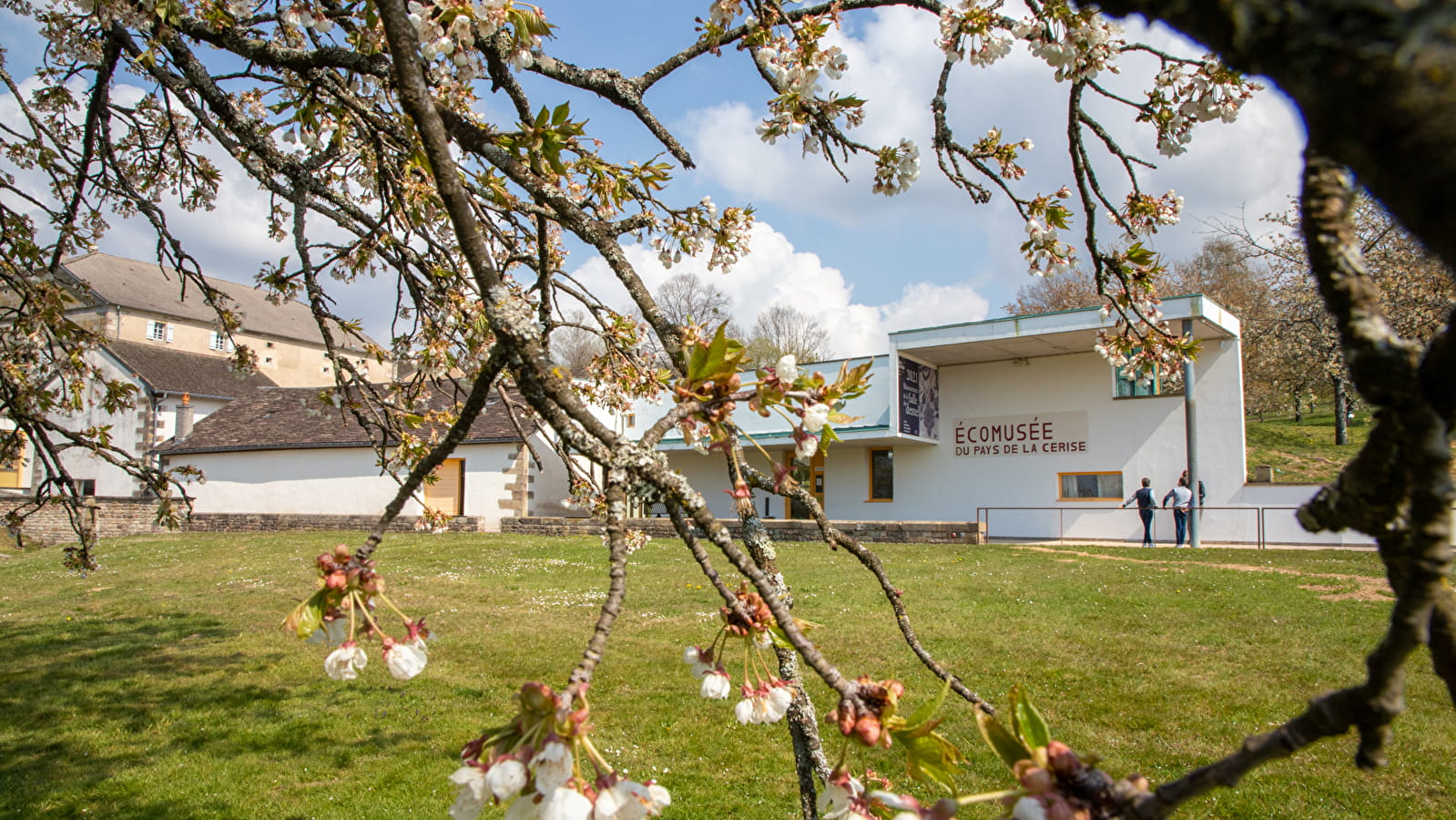 L'écomusée du pays de la cerise au moment des cerisiers en fleurs