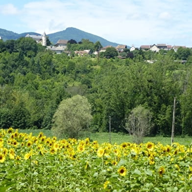 Circuit vélo : Vallée du Gland
