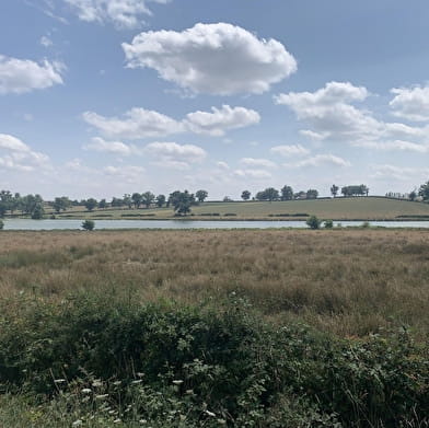 Randonnée : Sentier des Sources libres