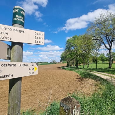 Circuit Gravel n°25 (rouge) Comté de Montrevel - Domaine du Sougey