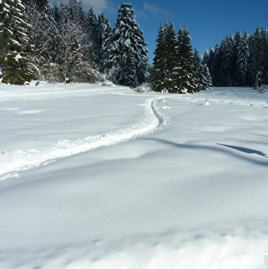 Liaz d'Amont depuis La Praille - Circuit raquettes