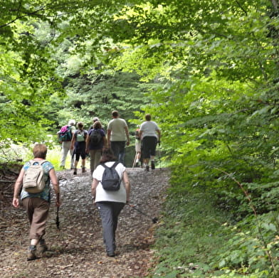 Circuit pédestre de Fontenelay