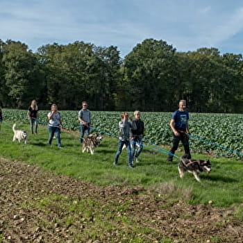 Randonnée insolite de Canimoov - Dixmont